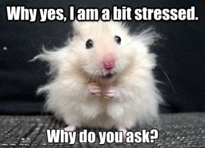 mouse stress